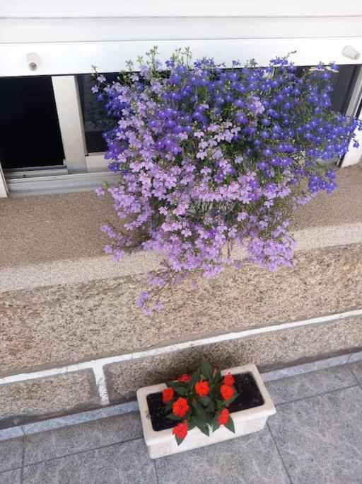 Precioso Apartamento En San Vicente De O Grove San Vicente do Grove Esterno foto
